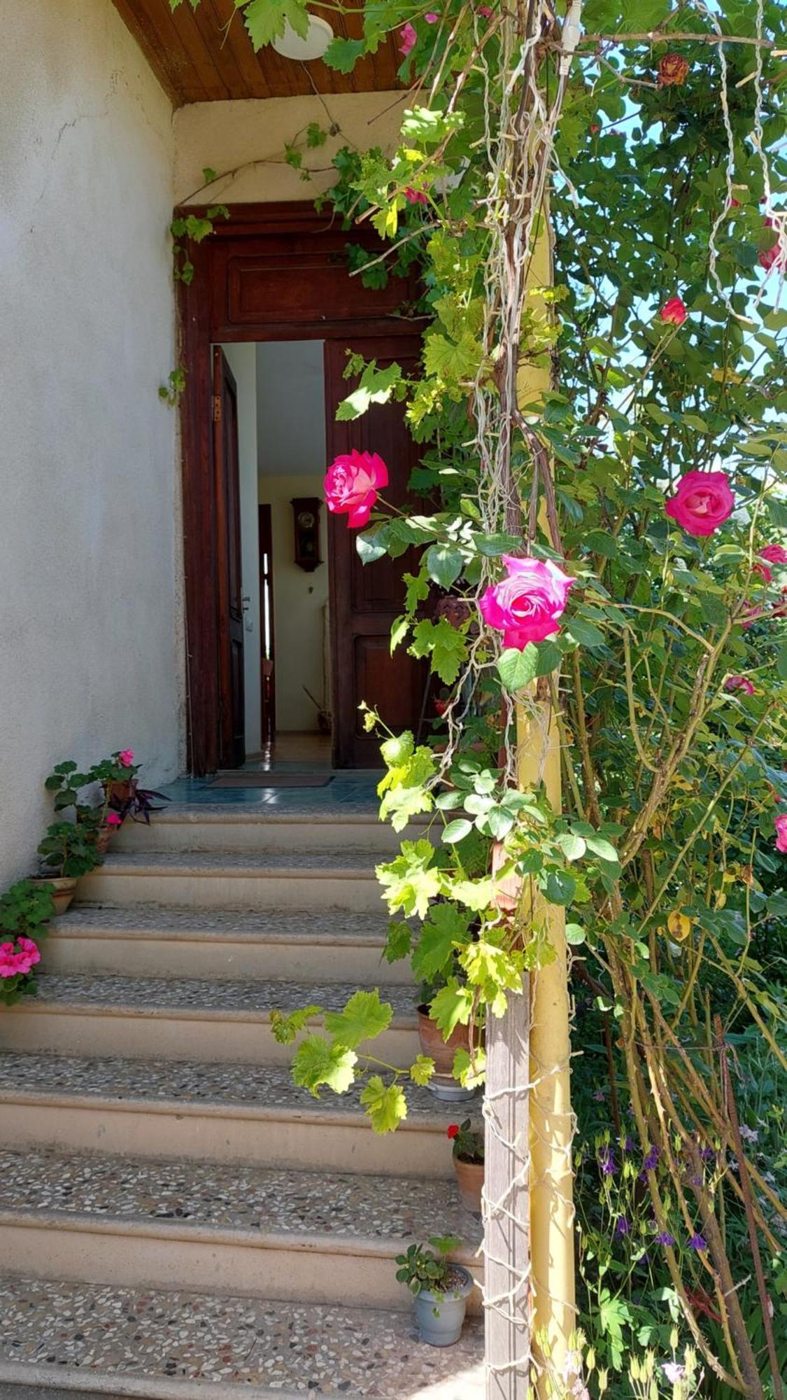 Guesthouse "Door" In Sighnaghi Exterior foto